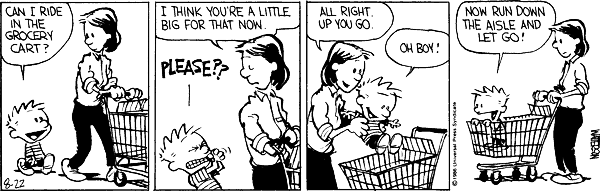Calvin & Hobbes - Shopping