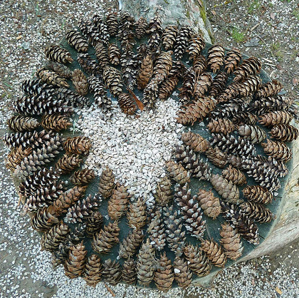 Heart No.1 - 2011
Gravel & pine cones on a tree stump
Bourgogne, France