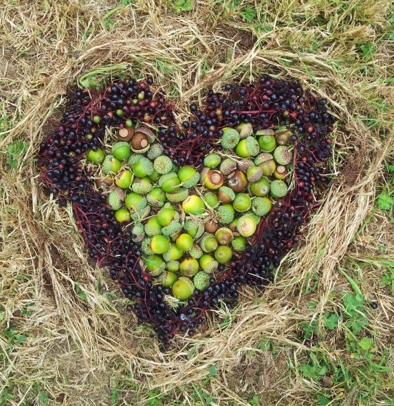 Heart No.13 - 2012
Elderberries, acorns & dried grass
Loire, France