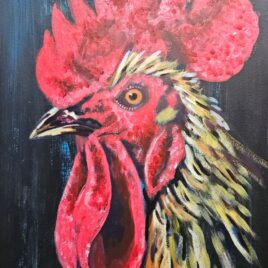 Rooster